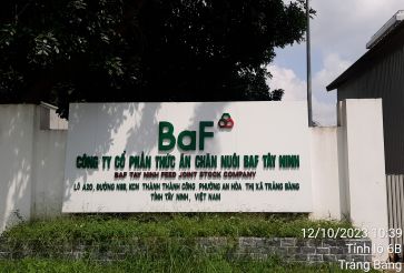 Nhà máy Công Ty Cổ Phần Thức Ăn Chăn Nuôi 3F Tây Ninh